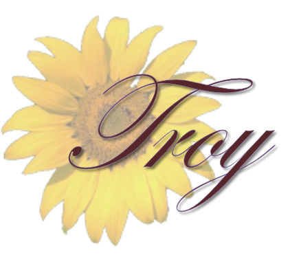 troytitle2 troytitle2