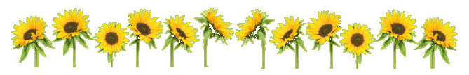 turksunflowerline turksunflowerline